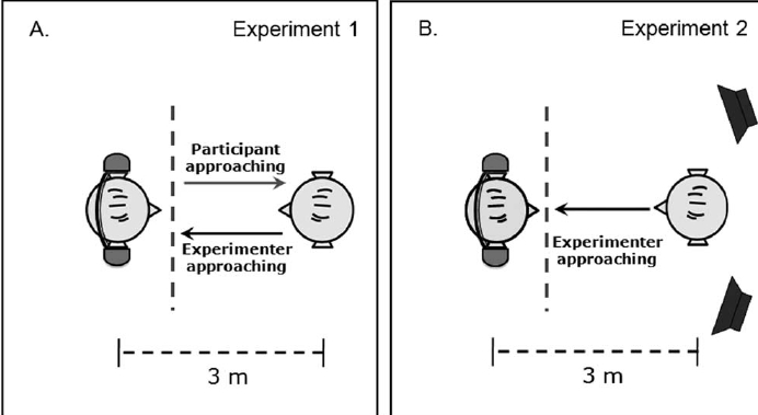 (C) www.plosone.org; 2011Tajadura-Jime´nez et al.