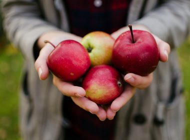 person holding four red apples