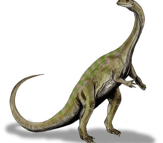 Massospondylus (ilustracja autorstwa Nobu Tamura na licencji GNU Free Documentation License